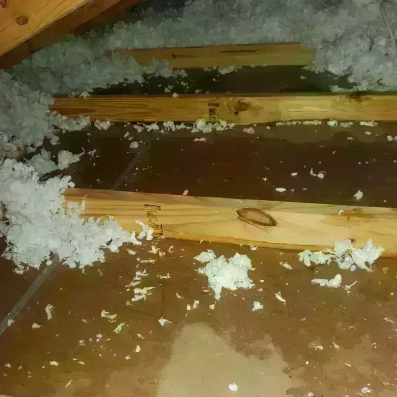 Attic Water Damage in Cass County, NE